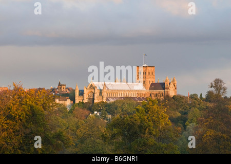 Vew da Verulamium Park verso l'Abbazia al tramonto Foto Stock