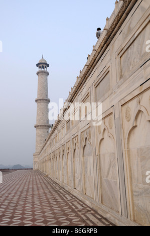 Il Taj Mahal è un mausoleo situato in Agra India Foto Stock