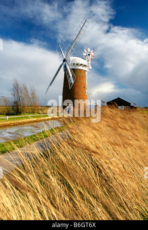 Il mulino a vento di Horsey / Mulino di drenaggio su il Parco Nazionale Broads del Norfolk, Regno Unito Foto Stock