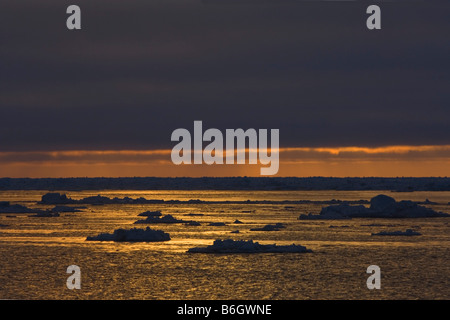 Seascape di ghiacci galleggianti attraverso un filo interrotto tra i ghiacci Chukchi Mare Artico Barrow Alaska Foto Stock