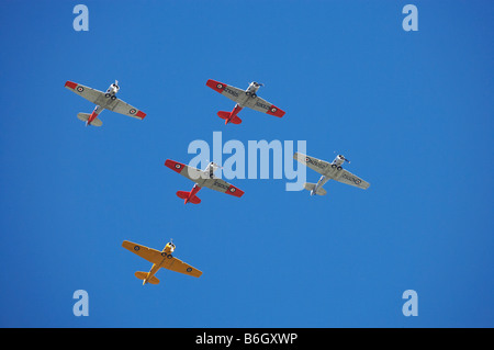 North American Harvards o T 6 Texans o SNJs Foto Stock