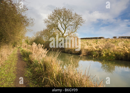 Oxford Canal in inverno vicino Heyford inferiore Oxfordshire England Regno Unito Foto Stock