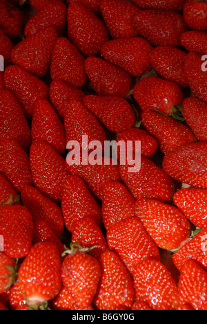 Fragole fresche con una foglia di menta in una frutta mercato veg sul Quai St-Antoine a Lione in Francia. Foto Stock