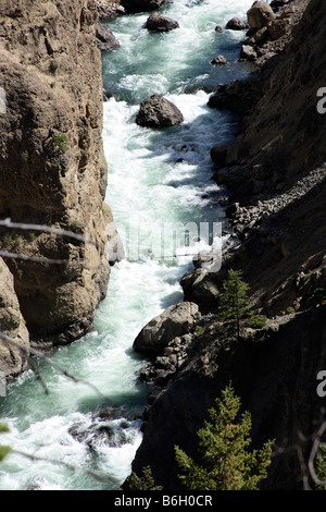 Il fiume Yellowstone Foto Stock