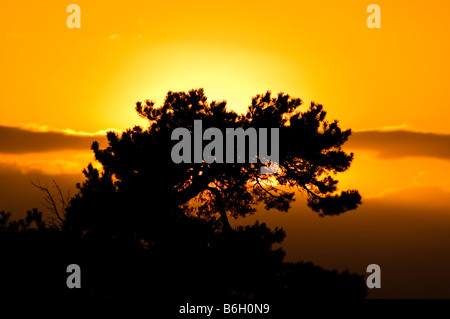 Splendido paesaggio dei Pirenei la gamma della montagna che separa la Spagna e Francia Foto Stock