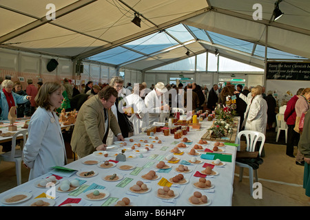 A giudicare svolge in una fiera di paese in truro,cornwall, Regno Unito Foto Stock