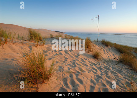 Arcachon Francia dune di sabbia di Pyla Foto Stock