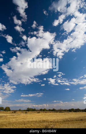 Le onde color ambra di erba e cielo blu su una giornata autunnale nel Texas Hill Country Foto Stock