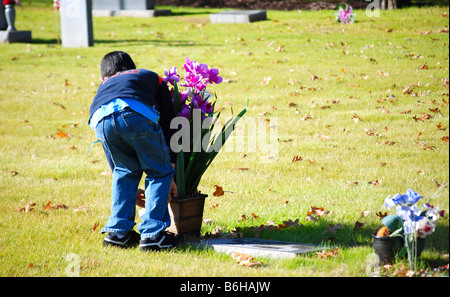 Little Boy immissione fiori ad un grave Foto Stock
