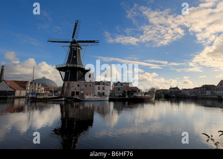 Il mulino a vento di bello in Haarlem Paesi Bassi Foto Stock