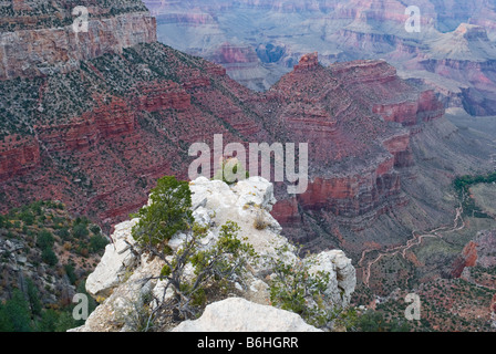 Rosa vista tramonto sopra il bordo sud del Grand Canyon vicino a Mather Point, il Parco Nazionale del Grand Canyon Arizona Foto Stock