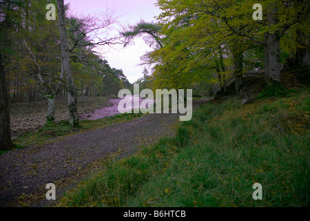 Autunno a piedi nella zona di Applecross House, Applecross, Wester Ross, Ross and Cromarty, West Highlands, Scozia Foto Stock