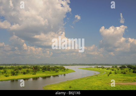 La cassa di espansione del Fiume Rio delle Amazzoni nei pressi di Iquitos, Perù. Foto Stock