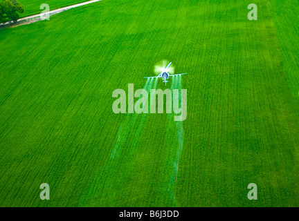 Bassa battenti elicottero SPRAY ANTIPARASSITARIO chimico su tree farm foresta. Foto Stock