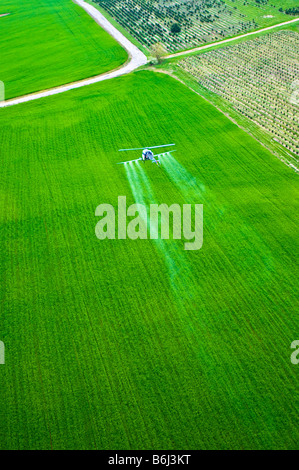 Bassa battenti elicottero SPRAY ANTIPARASSITARIO chimico su tree farm foresta. Foto Stock