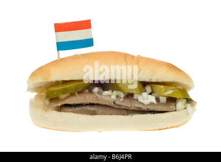 Tipica aringa olandese sandwich isolati su sfondo bianco Foto Stock