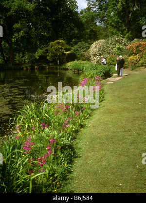 Regno Unito Inghilterra Hampshire Exbury Gardens stagno Foto Stock