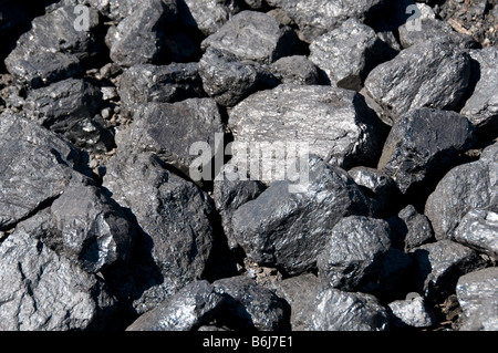 Grumi di nero carbone Foto Stock