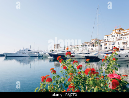 Marbella Malaga Provincia Costa del Sol Spagna barche di lusso in Puerto Jose Banus Harbour Foto Stock