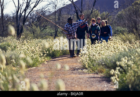 Tour culturale a Uluru "Ayers Rock" Australia Foto Stock