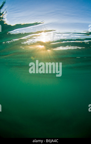 Sun come visto da sott'acqua Foto Stock