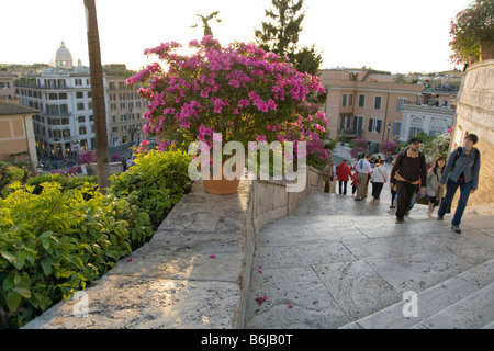 La Scalinata di piazza di Spagna salire dalla scalinata di Piazza di Spagna Roma Italia Foto Stock