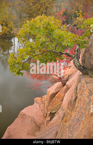 Elephant Rocks Parco dello Stato del Missouri Foto Stock