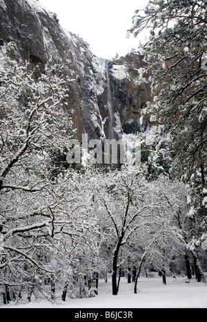 CALIFORNIA - Bridalveil cade dopo una tempesta di neve Yosemite Valley area del Parco Nazionale di Yosemite. Foto Stock