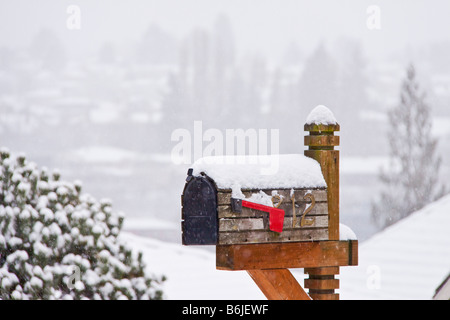 Nella cassetta postale di tempesta di neve Seattle Washington Foto Stock