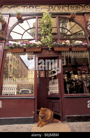 L'Europa, Francia, la Valle del Rodano, Lione, Vieux (Vecchio) Lyon; Le Tire Bouchon Ristorante Foto Stock