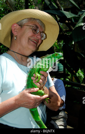 America centrale, Belize, Monkey Bay, San Ignacio Resort Hotel, iguana verde progetto. I visitatori del progetto holding iguana. Foto Stock