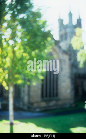 Vista impressioniste di inglese decorata chiesa gotica in arenaria di luce con erba retroilluminato e argento di betulle Foto Stock