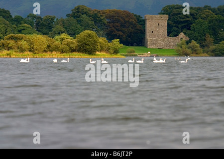 Loch Leven Castle, Kinross, Fife Foto Stock