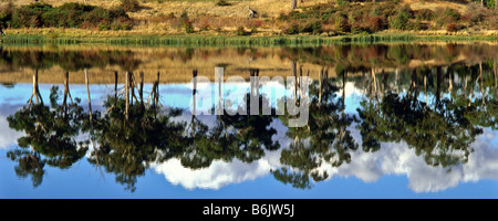 Riflessioni, Tasmania, Australia Foto Stock