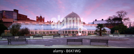 Giardini Botanici arboretum all'alba in inverno, parco botanico giardini, Belfast Irlanda del Nord Regno Unito Foto Stock