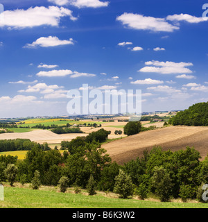 Il terreno coltivabile paesaggio del Gers in Guascogna Sudovest della Francia Europa Foto Stock