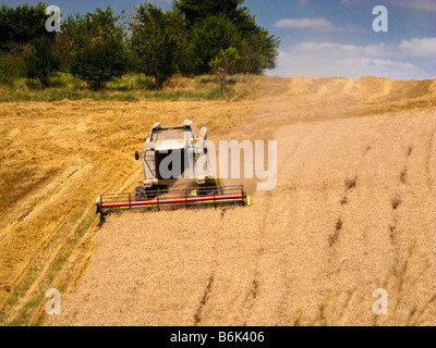 Macchina mietitrebbiatrice la raccolta di frumento in un campo di Tarn et Garonne, sud-ovest della Francia, Europa Foto Stock