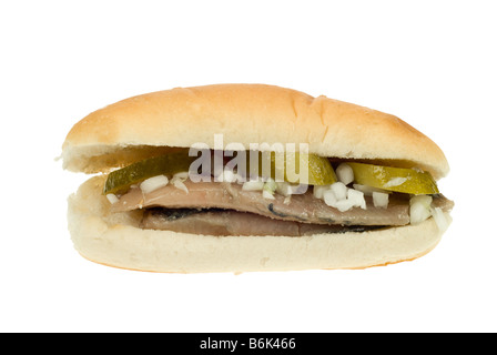 Tipica aringa olandese sandwich isolati su sfondo bianco Foto Stock