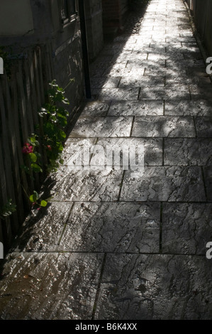 Un sentiero che conduce a distanza Foto Stock