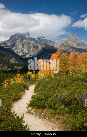 Sentiero escursionistico al Lago Taggart e canyon di valanghe, Teton Mountains, Grand Teton National Park, Wyoming USA Foto Stock