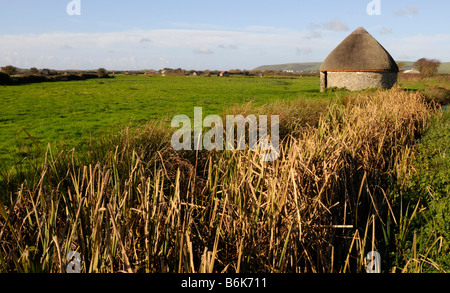 Con il tetto di paglia, linhay o fienile su Braunton Marsh, Devon Foto Stock