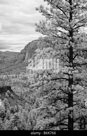 Sud Angelo Custode vista montagna Parco Nazionale di Zion Foto Stock