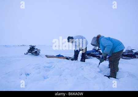 Inupiaq sussistenza whalers rompere il ghiaccio del ghiacciaio con assi di prelevamento per fondere per acqua potabile durante la primavera stagione di caccia alle balene mare Chukchi Foto Stock