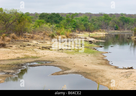 Foro di acqua acqua fiume foro riverbed letto ampia vista paesaggio sud africa deserto polvere rossa strada sterrata strada safari savannah wo Foto Stock