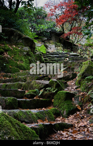 Giardino giapponese a risatina vicolo in Eskdale Foto Stock