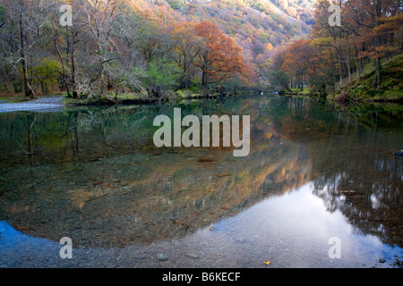 Il fiume Derwent fluisce attraverso i colori dell'autunno di Borrowdale nel Parco Nazionale del Distretto dei Laghi, Cumbria Foto Stock