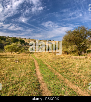 Secondo la guida Lonely percorso in una valle vadi nachal amud Galilea Israele Foto Stock