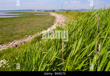 E Foreshore seawall proteggere Newport Zone Umide Riserva Naturale Nazionale South Wales UK Foto Stock