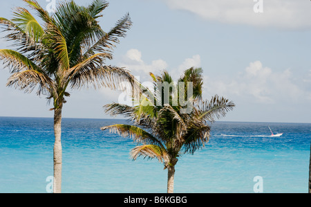 Parachute sailing in Cancun Messico Foto Stock