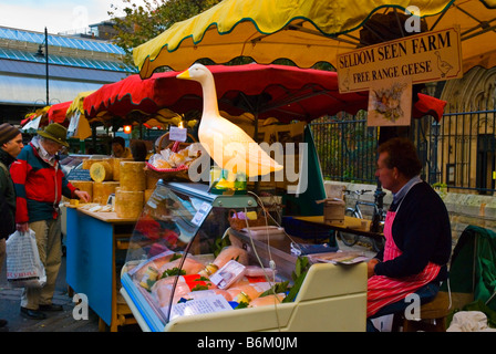 Oche e formaggio in organico di Borough Market in Londra England Regno Unito Foto Stock